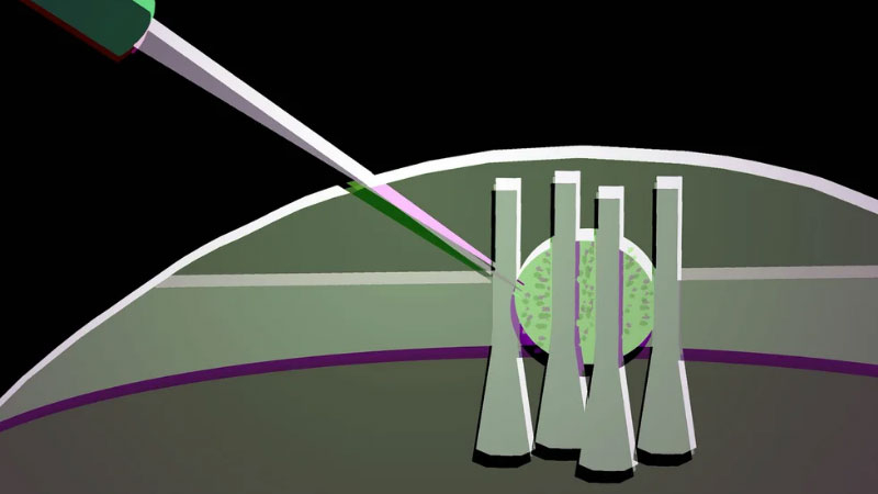 Scientists turned a drop of liquid crystal into a flexible optical transistor for future photonic chips