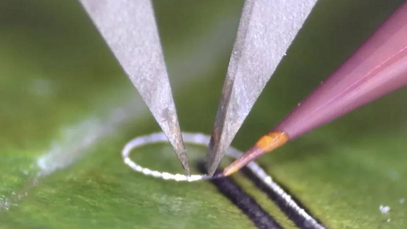 Engineers have created a device that allows electronic components to be applied to living tissues and medical implants without damage